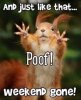 FB_IMG_1569847167461_263090698293871.jpg