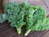 Kale.jpg