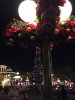 IMG_4965.JPG
