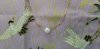 20190930_154916.jpg
