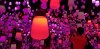 20190527_182847.jpg