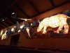 IMG_20190909_174828222.jpg