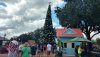 Epcot 11.2018 tree.jpg