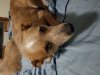 20190930_055644.jpg