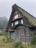 540CDF4C-9296-45F9-ABAD-360C38EDE0F2.jpeg
