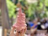 B85D19DF-F580-42C8-96B1-35E27788F787.jpeg