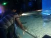 stingray-wow.JPG