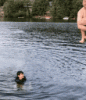 IMG_20191007_093645_01.gif