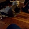 20191005_203623.jpg