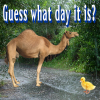 9B11EC4A-59A4-48D2-909B-712758406776.png