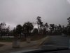 100_0679.JPG
