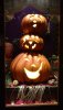 mk nov pumpkins.jpg