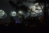 515AE92D-2EBA-425C-A827-912C095790AA.jpeg