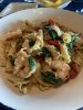 IMG_0416.JPEG