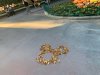 LeafMickey.JPG