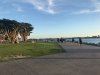 IMG_3661.jpeg