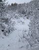 0D5F0668-EC61-456F-A0AA-A5DB3DBCF59C.jpeg