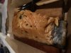 Polite Pig Salmon.jpg