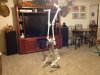 usedhandstand.jpg