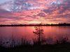 FB_IMG_1571407070976.jpg