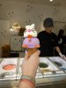P1090105 - Copy.JPG