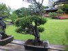 P1090157.JPG