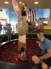 IMG_3724.jpeg