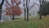 20191027_075835-1008x567.jpg