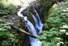 DSC_3000.JPG