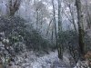 8B5413C5-9643-4028-B540-64CC19CA4041.jpeg