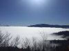 FD7855F4-1A80-41B1-901F-C09C2C299156.jpeg
