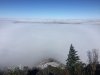 E1232896-6E92-4204-8ED8-42D1A562E046.jpeg
