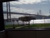 IMG_20191104_104451.jpg