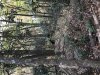 B2EF7512-5485-4D44-970F-3AA023D2A56E.jpeg
