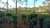 IMG_20181124_081202250_HDR.jpg
