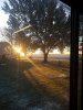 20191112_072717.jpg