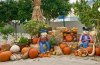 epcot land pumpkins.jpg