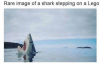 452747