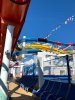 IMG_6387.jpg