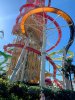 IMG_6534.jpg