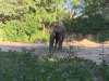 IMG_6130.jpeg
