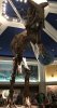 C26DB3E5-1900-4E9F-985D-82392BE8ACDF.jpeg