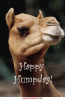 1CA728A7-863F-44F7-9D60-40FC2F349EFC.gif
