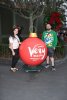 mvmcp ornm.jpeg