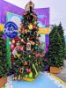 IMG_20181213_114308-1-768x1024.jpg