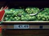 sprouts.jpg