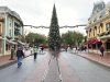 IMG_0860.jpg
