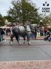 IMG_0891.jpg