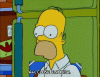 giphy (1).gif