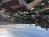 7D746B13-2E03-4FF3-A097-D2998DE268E2.jpeg